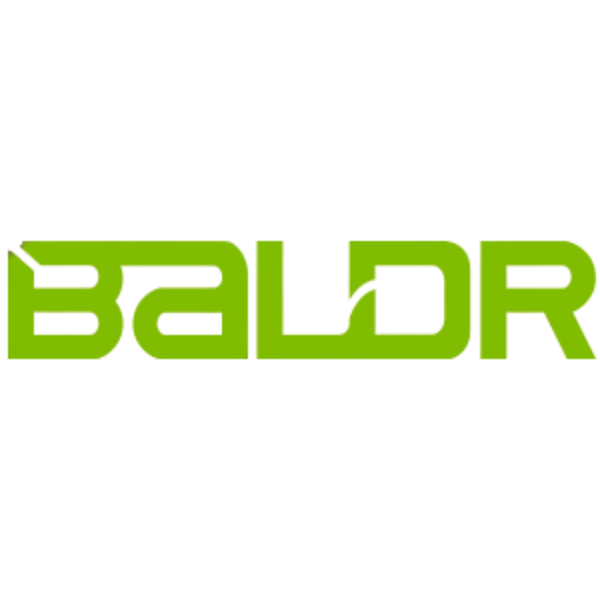BALDR Electronic