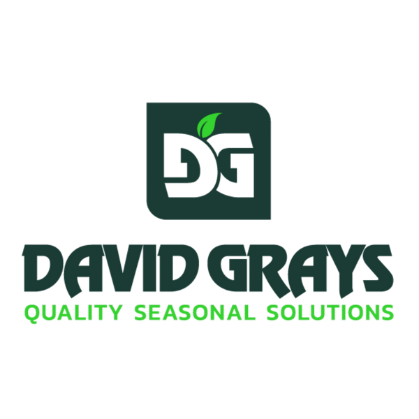 David Grays