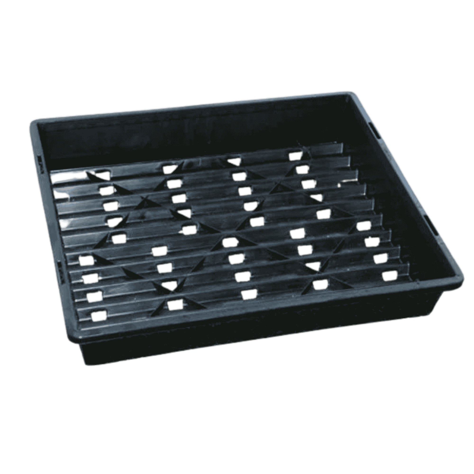 Black Seedling Tray - Lattice