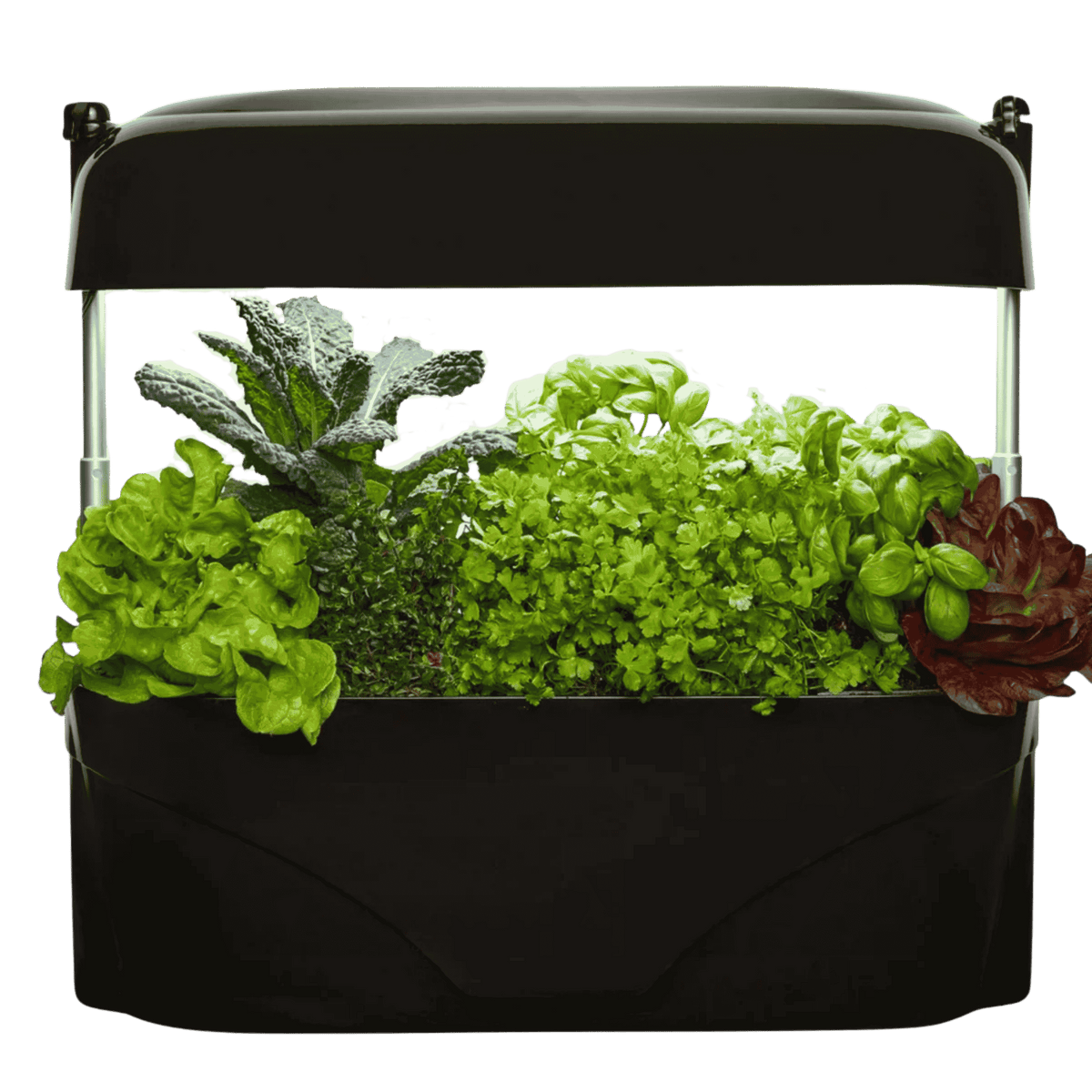 Vegepod Kitchen Garden — Compact Indoor Soil-Based Bench-Top Growing System (Black)
