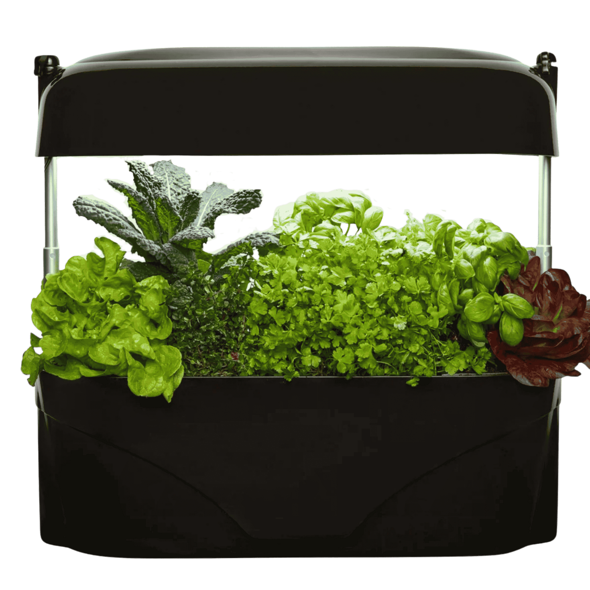 Black Vegepod Kitchen Garden
