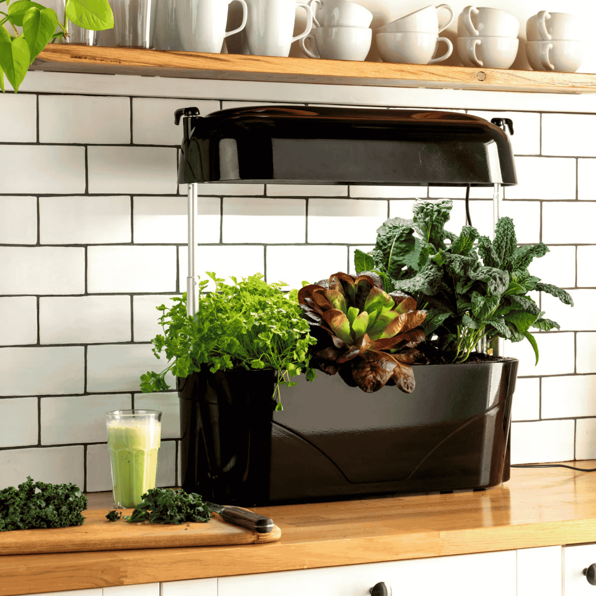 Black Vegepod Kitchen Garden - Display