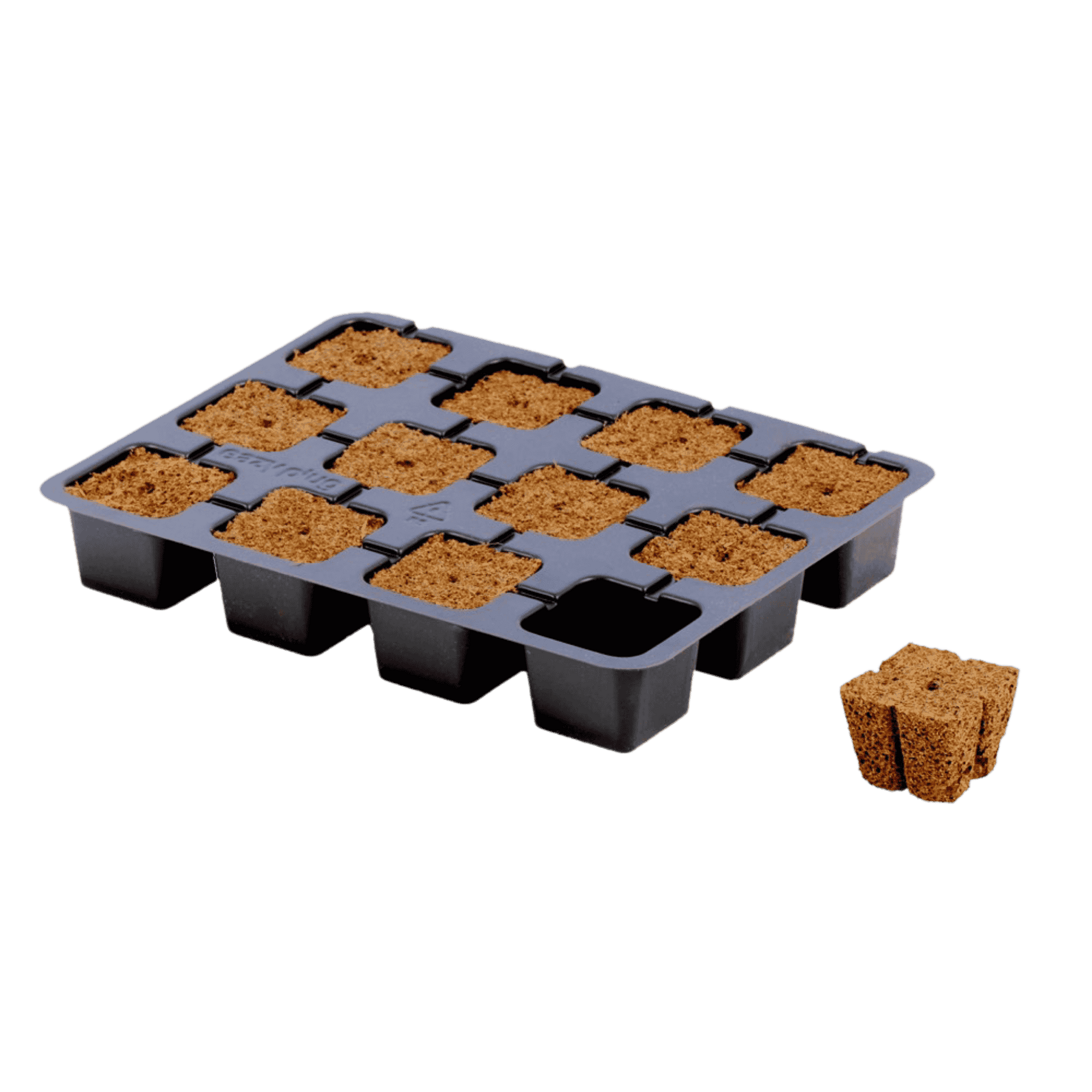 Eazy Plug Tray of 12 - Unboxed