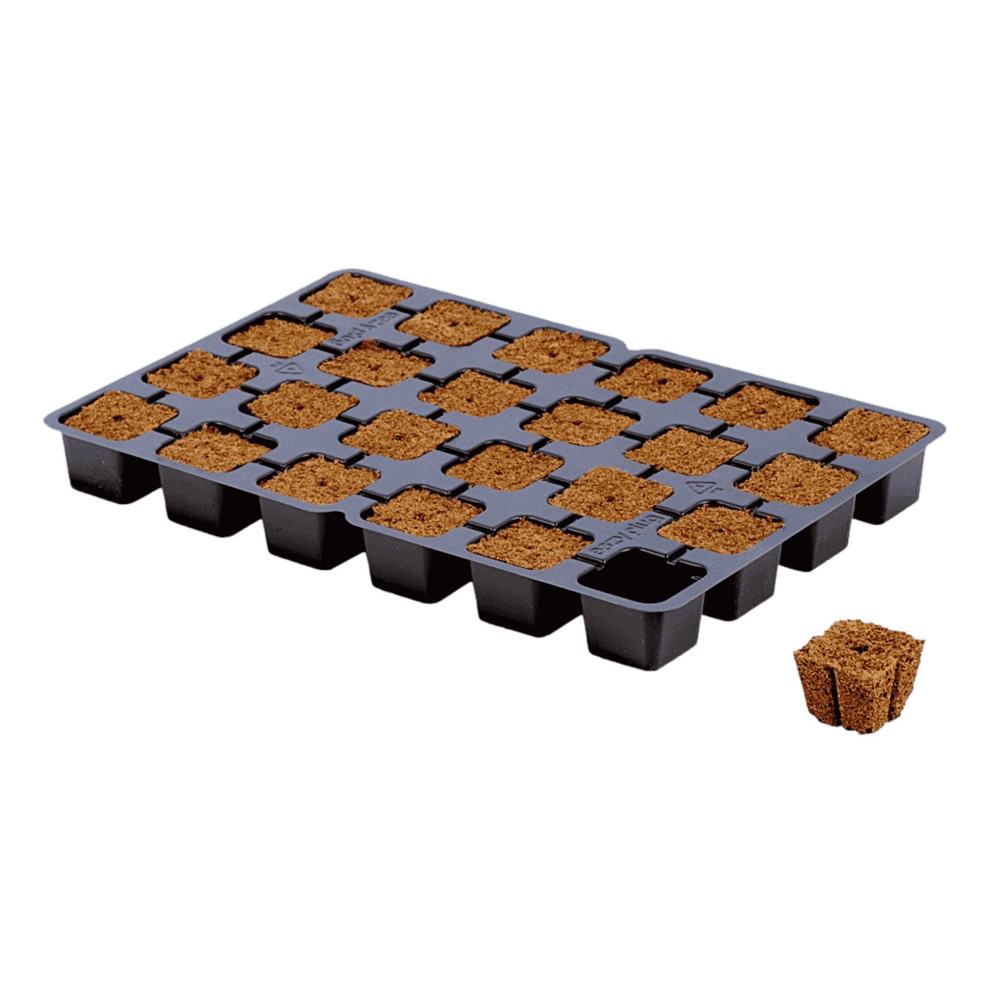 Eazy Plug Tray of 24 - Unboxed