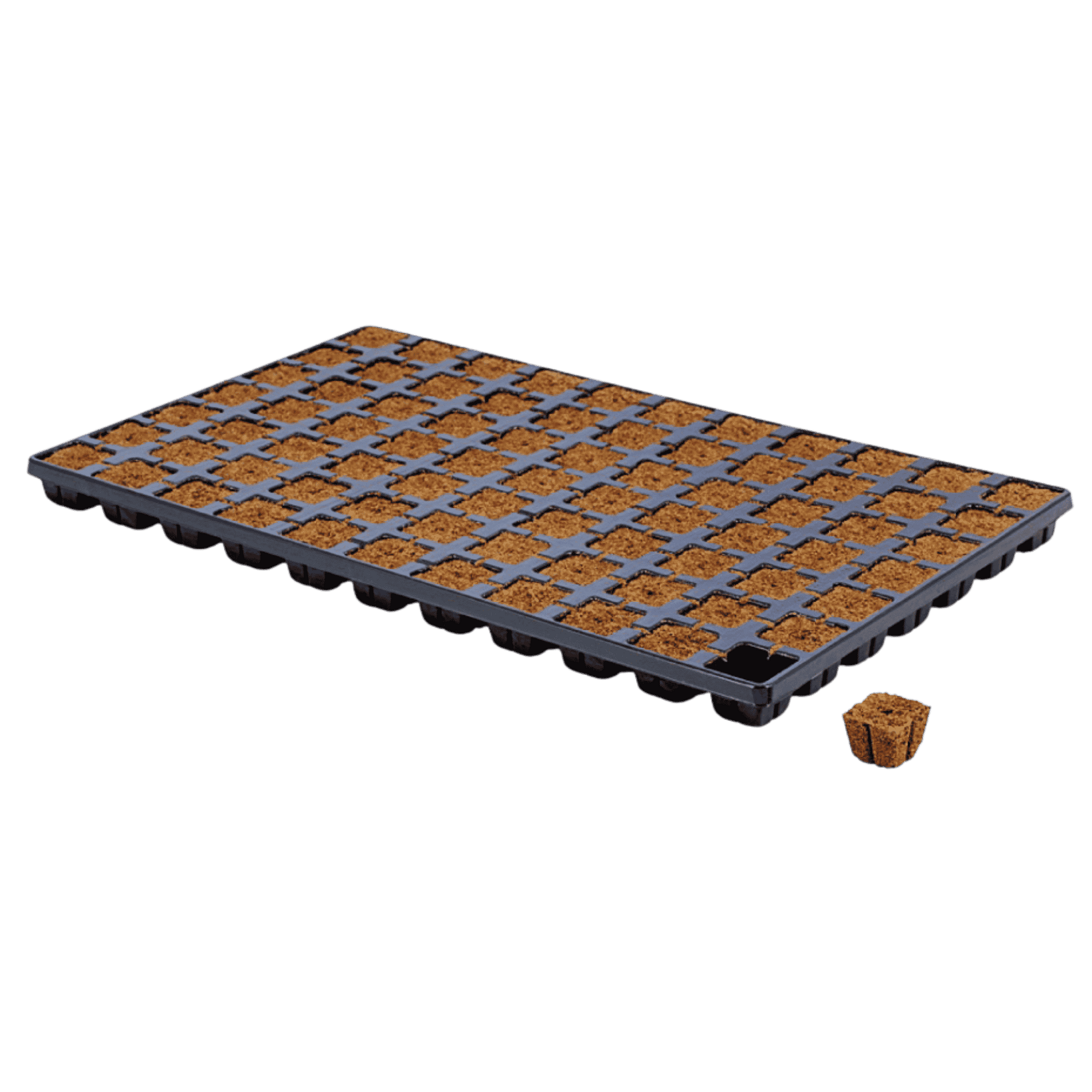 Eazy Plug Tray of 77 - Unboxed