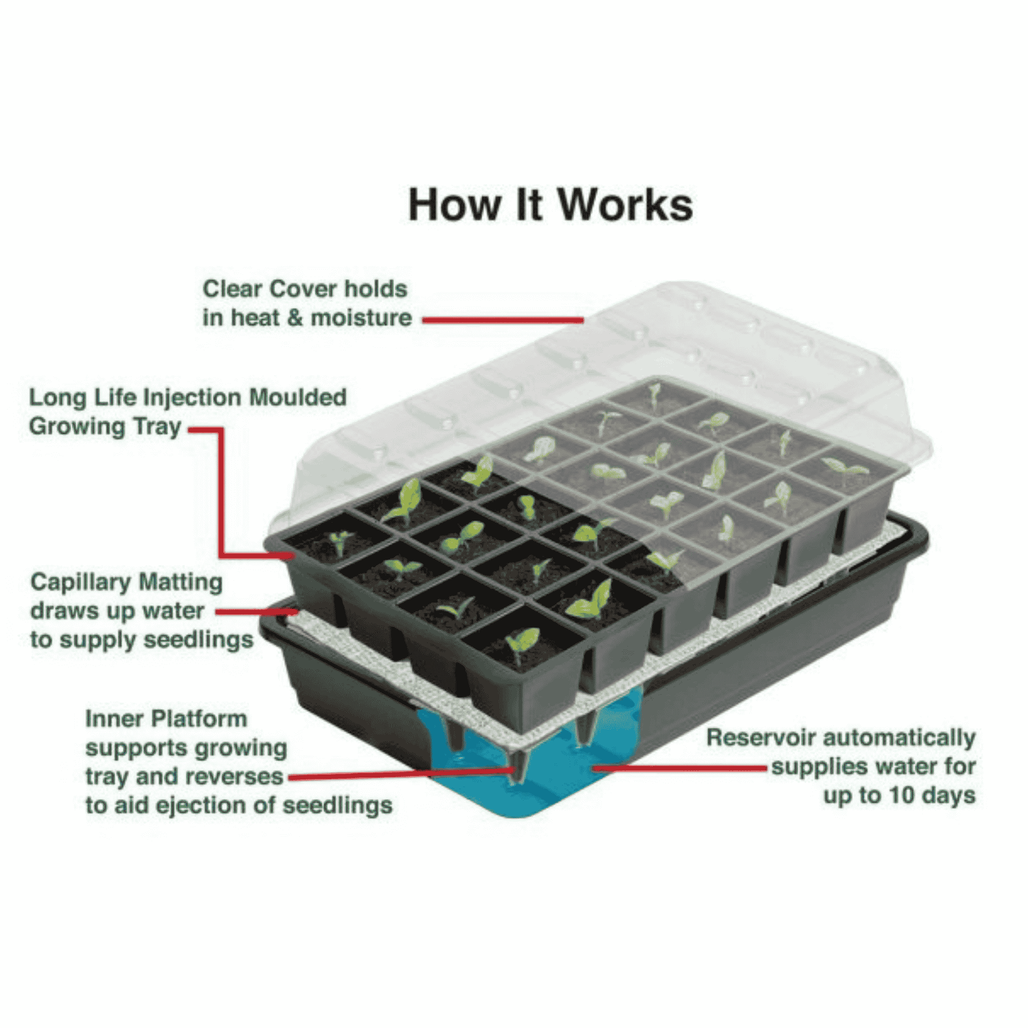 Garland 24 Cell Self Watering Seed Success Kit - How It Works