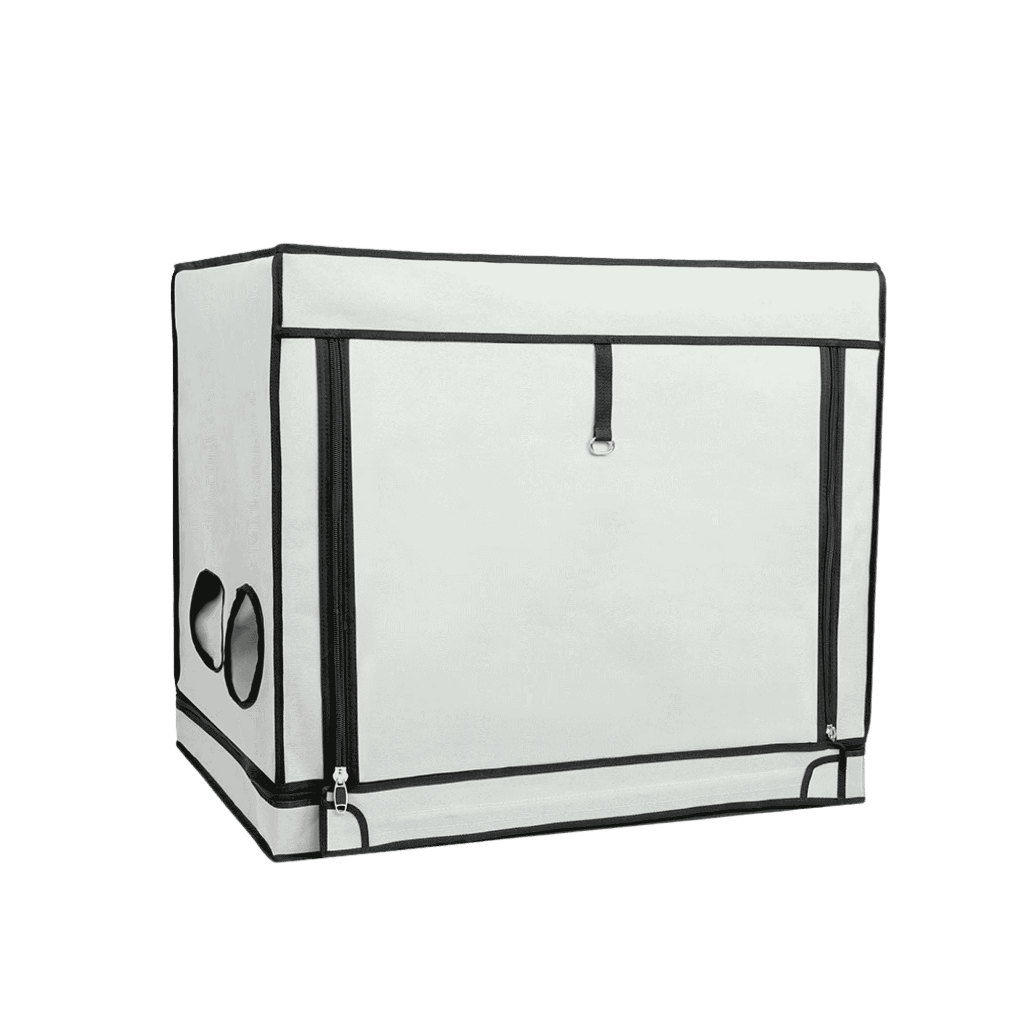 HOMEbox Ambient R80S - Front