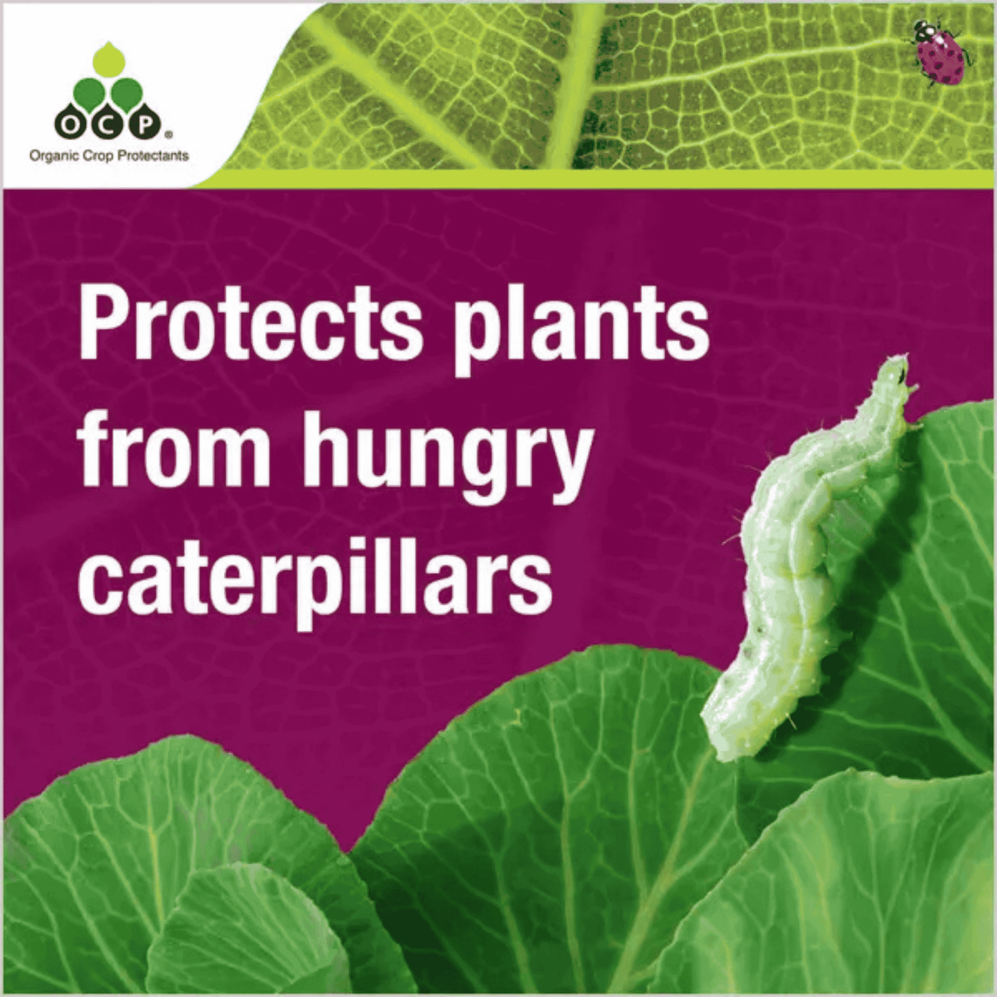 OCP Eco-Caterpillar Killer