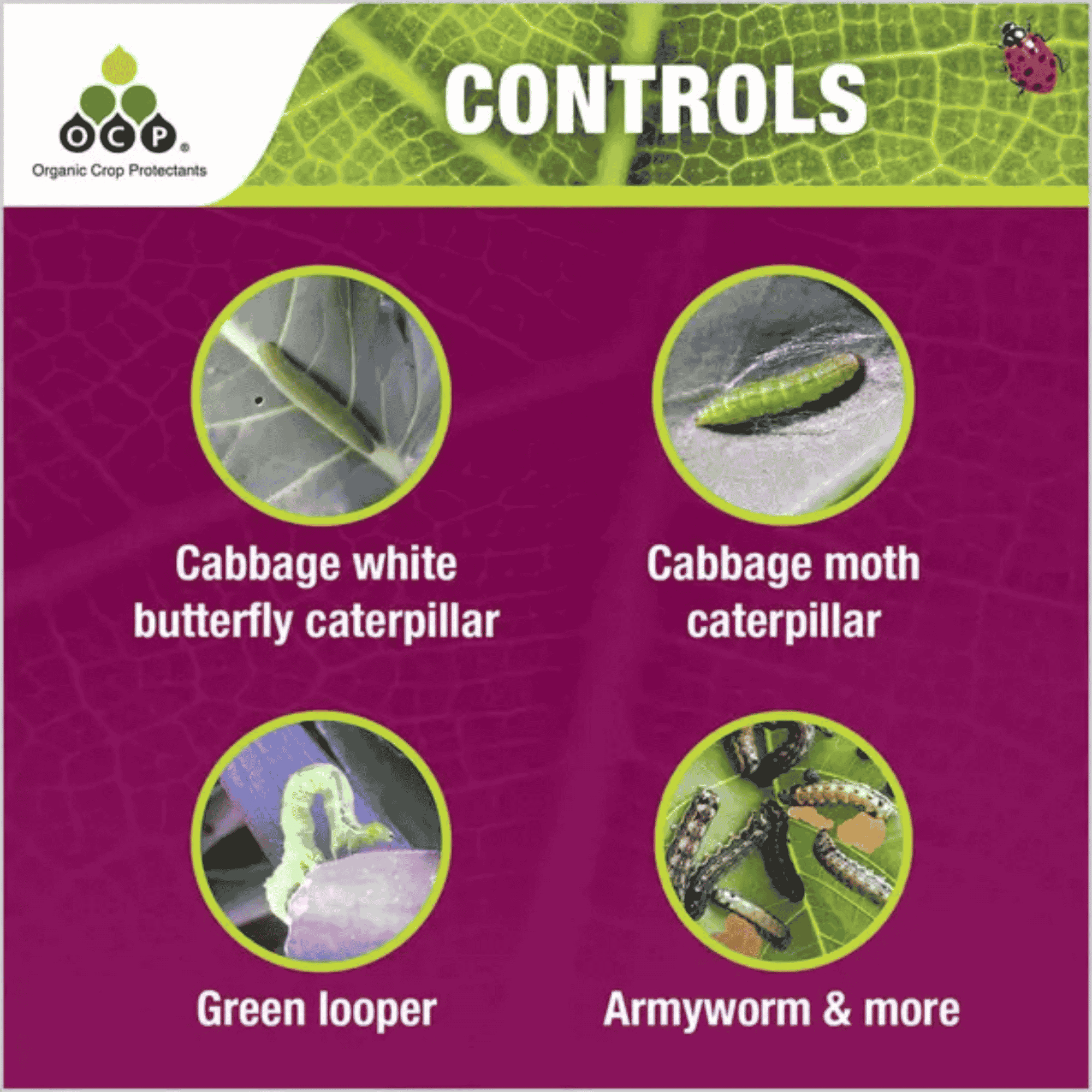 OCP Eco-Caterpillar Killer