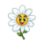 Bloom & Yield Accelerator