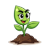 Rapid Root Development
