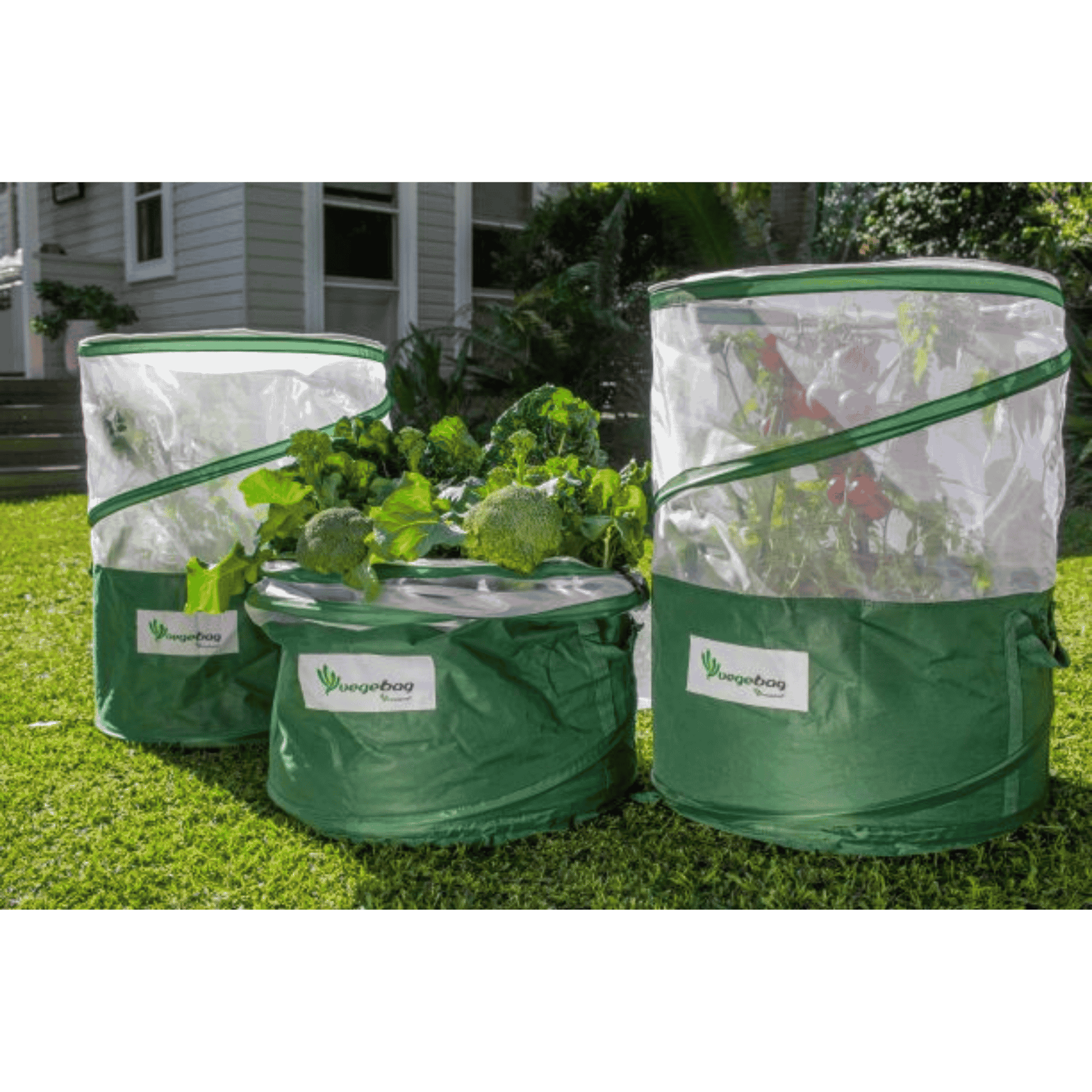Vegebag