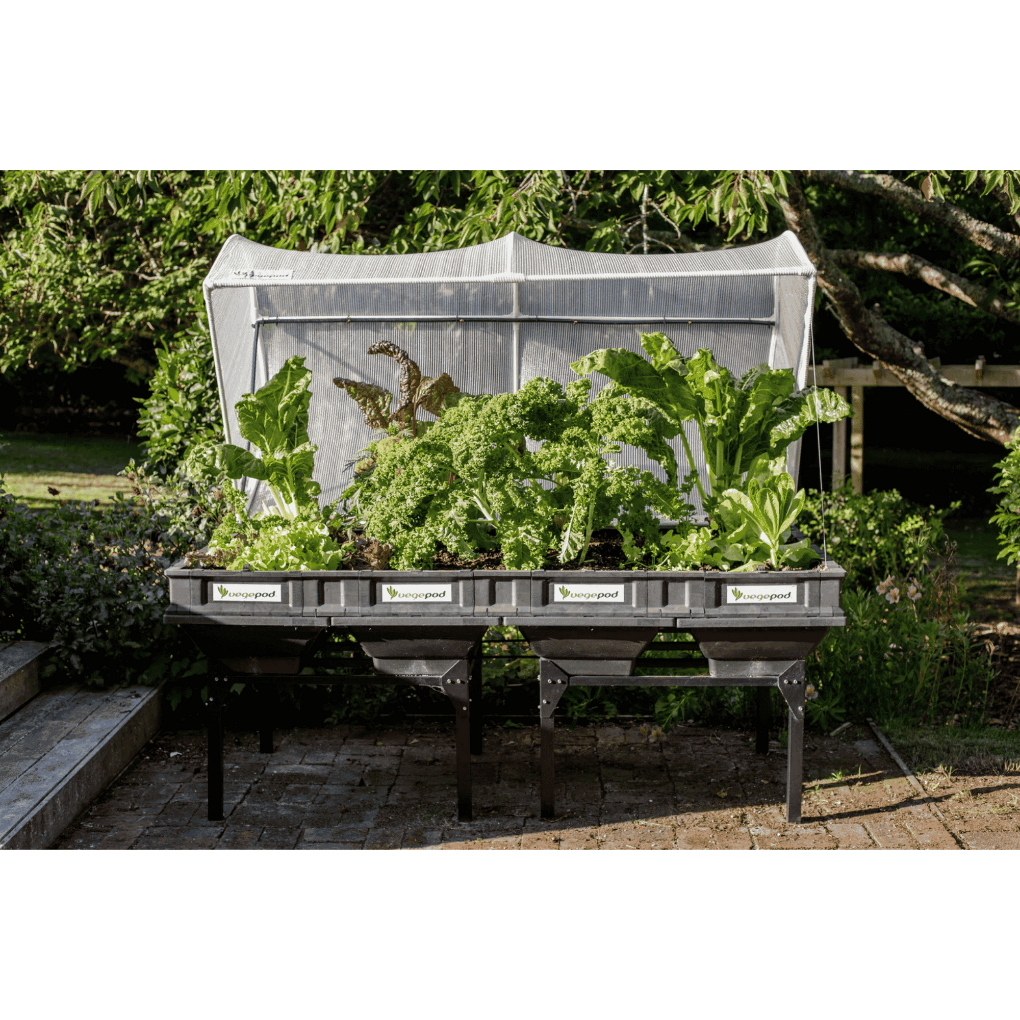 Vegepod Raised Garden Bed - Large Display