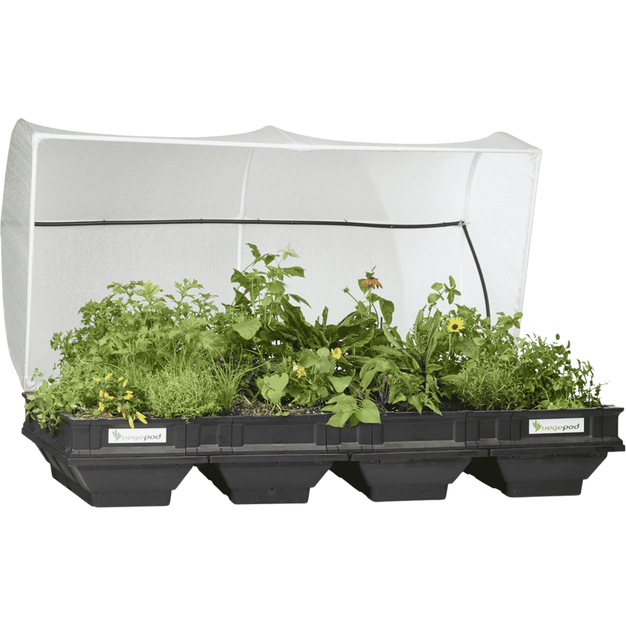 Vegepod Raised Garden Bed - Large Open