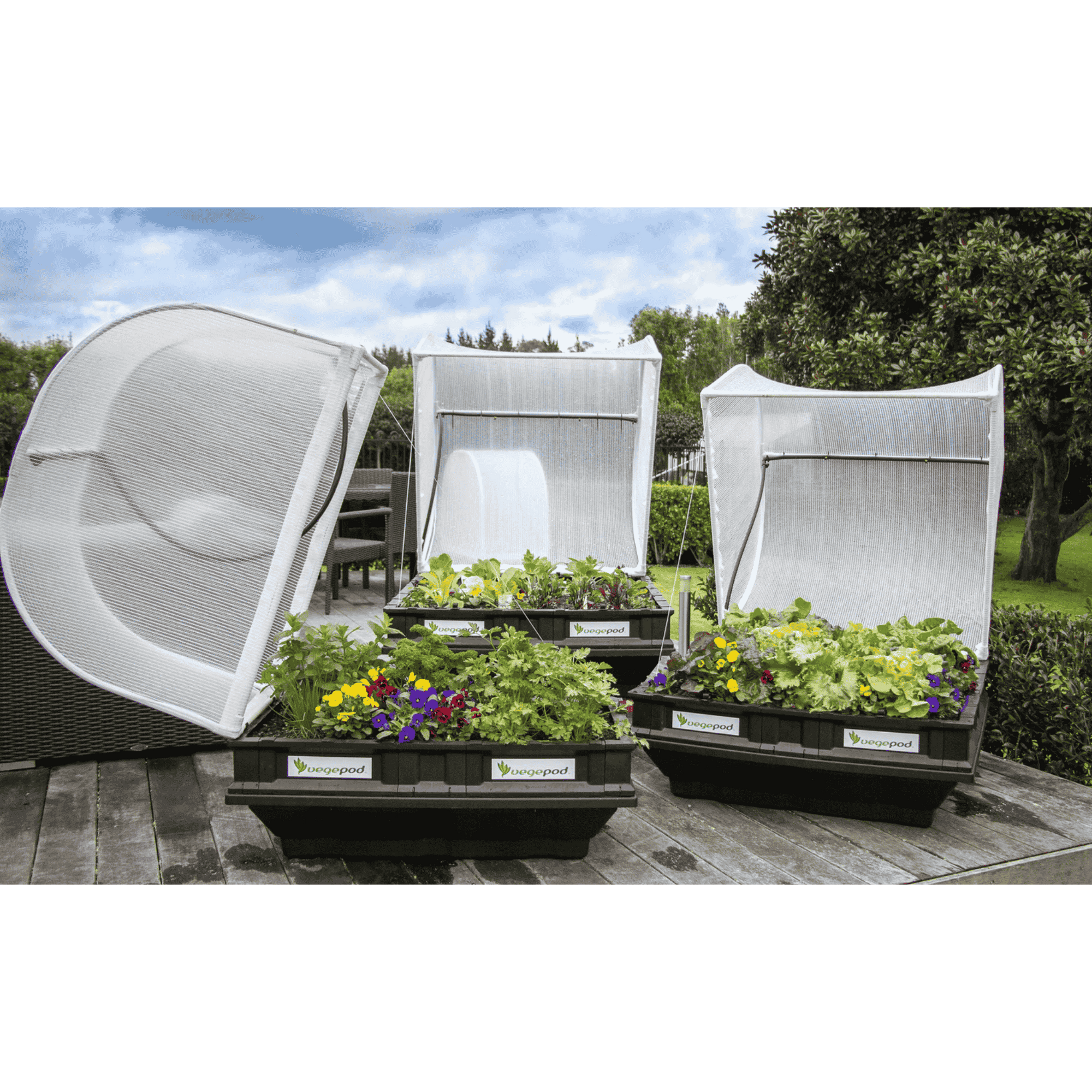Vegepod Raised Garden Bed - Medium Display