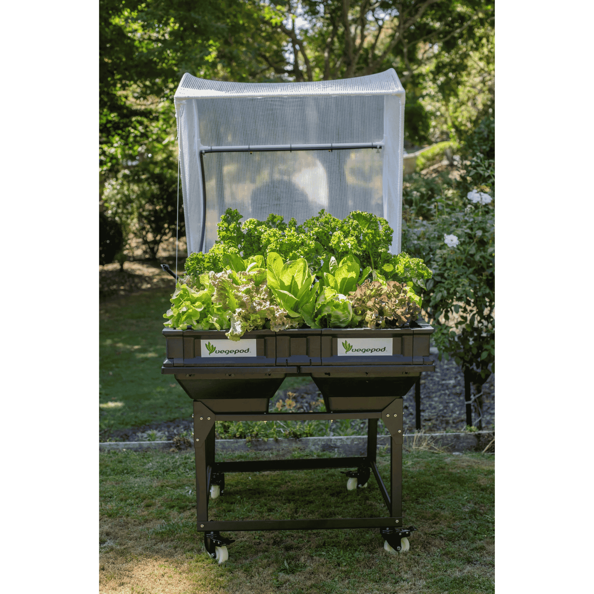 Vegepod Raised Garden Bed - Medium Display