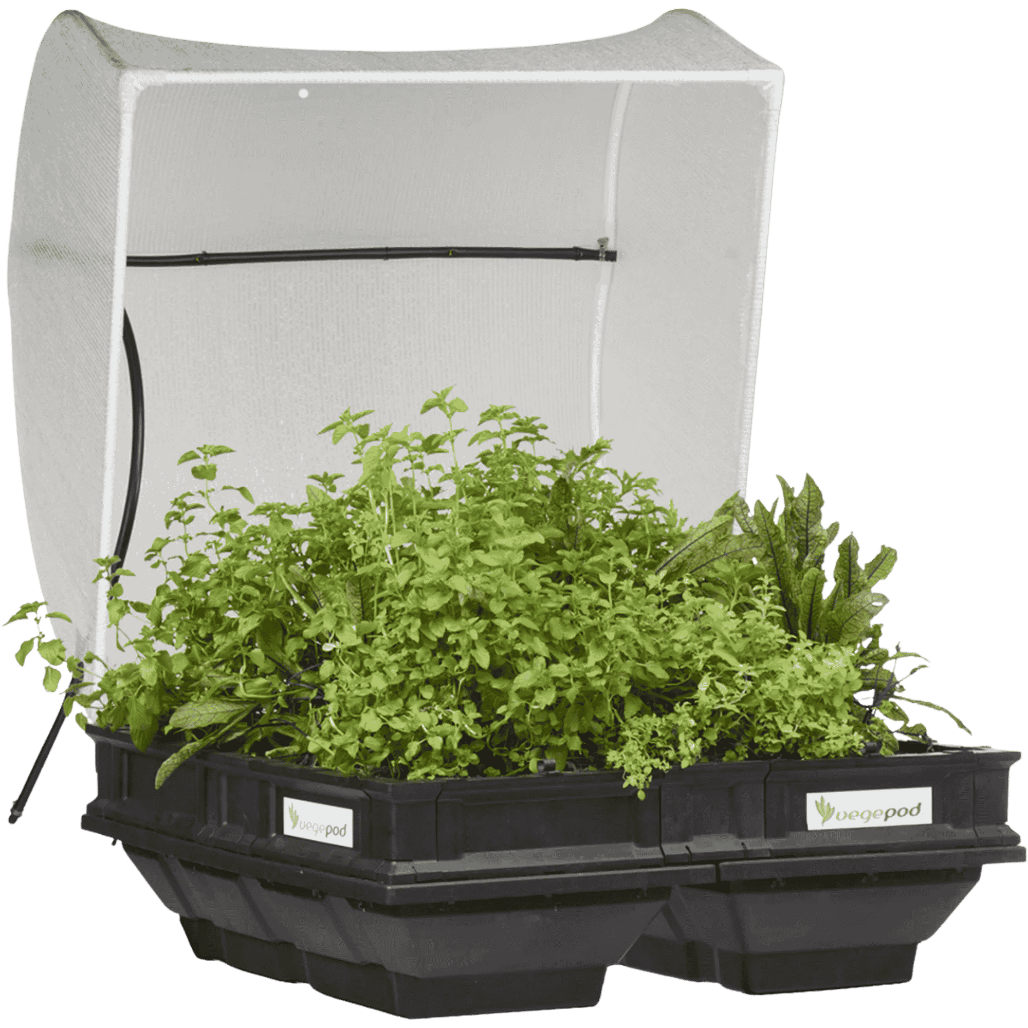 Vegepod Raised Garden Bed - Medium Open