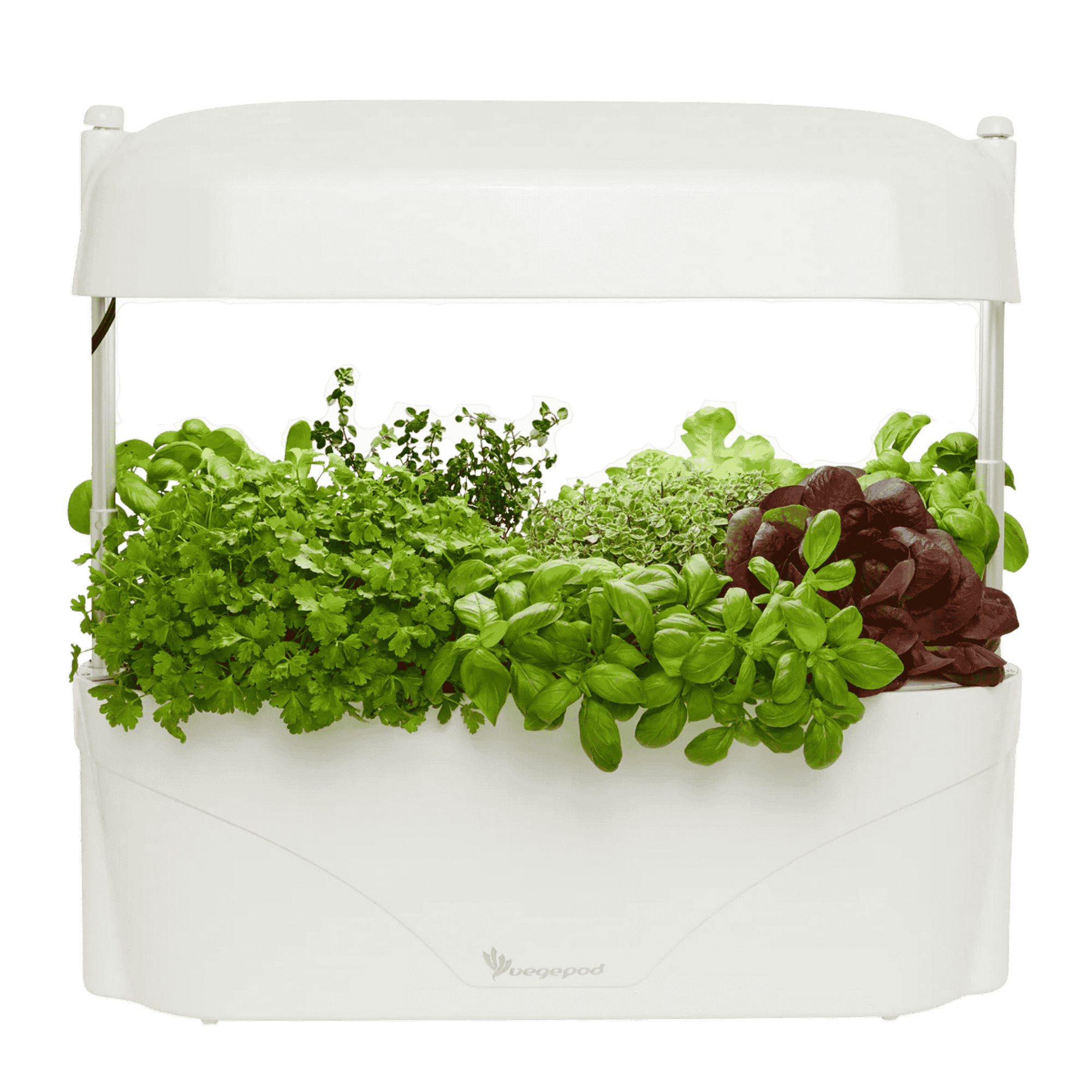 White Vegepod Kitchen Garden