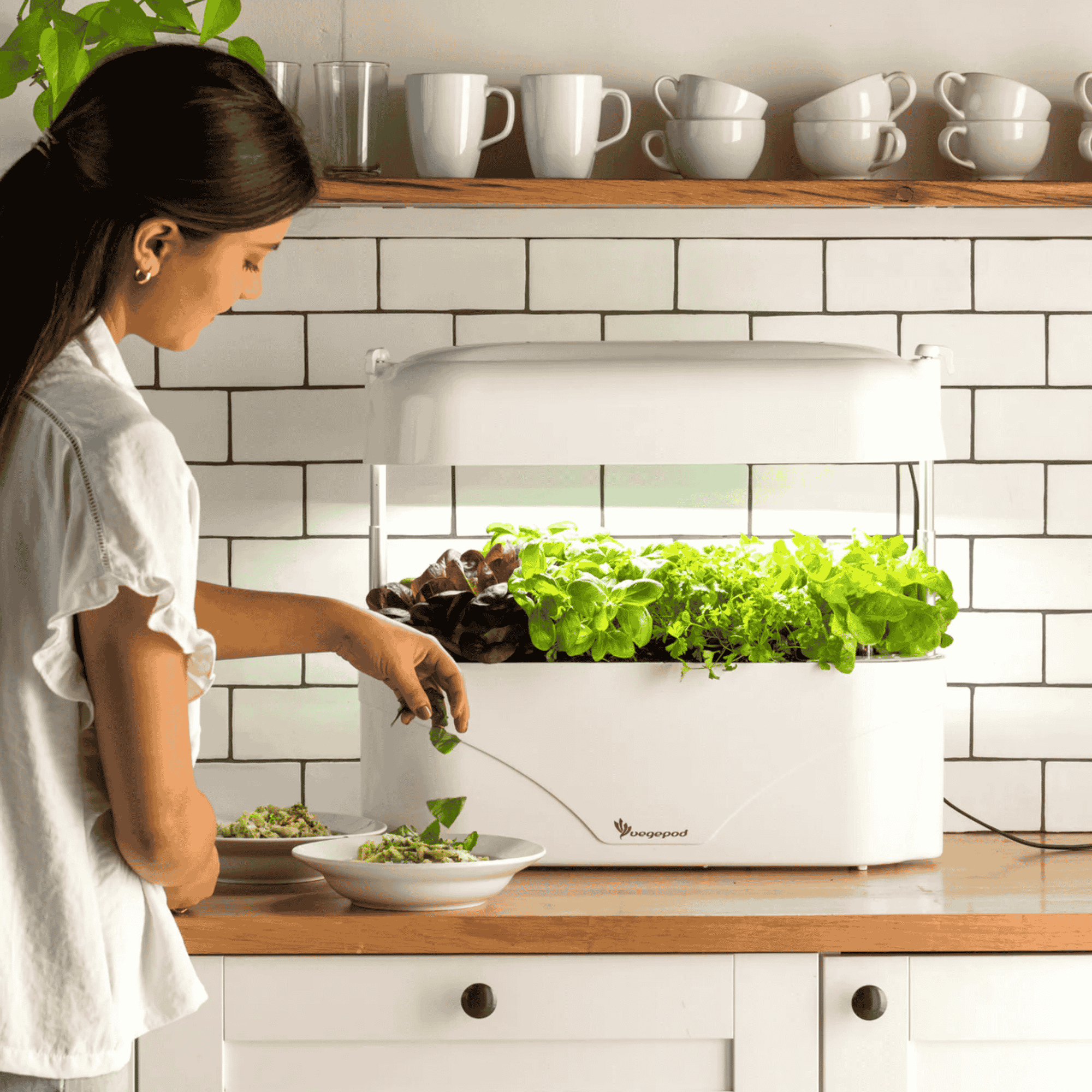 White Vegepod Kitchen Garden - Display