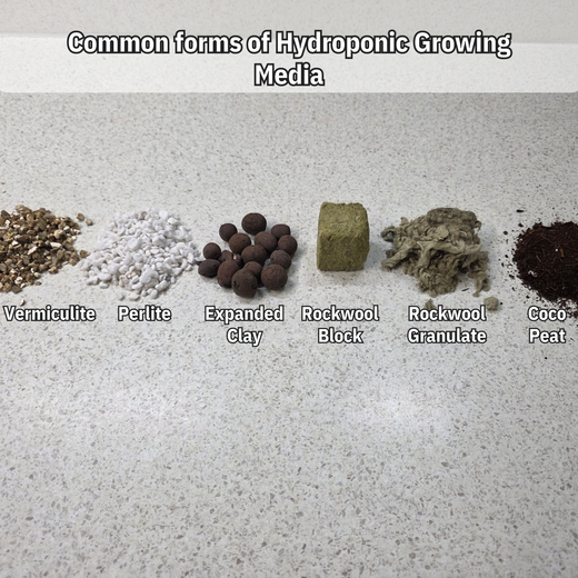 How to Choose the Right Growing Medium for Your Hydroponic System