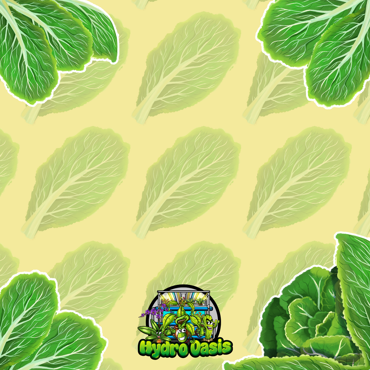 Wong Bok plant profile cover