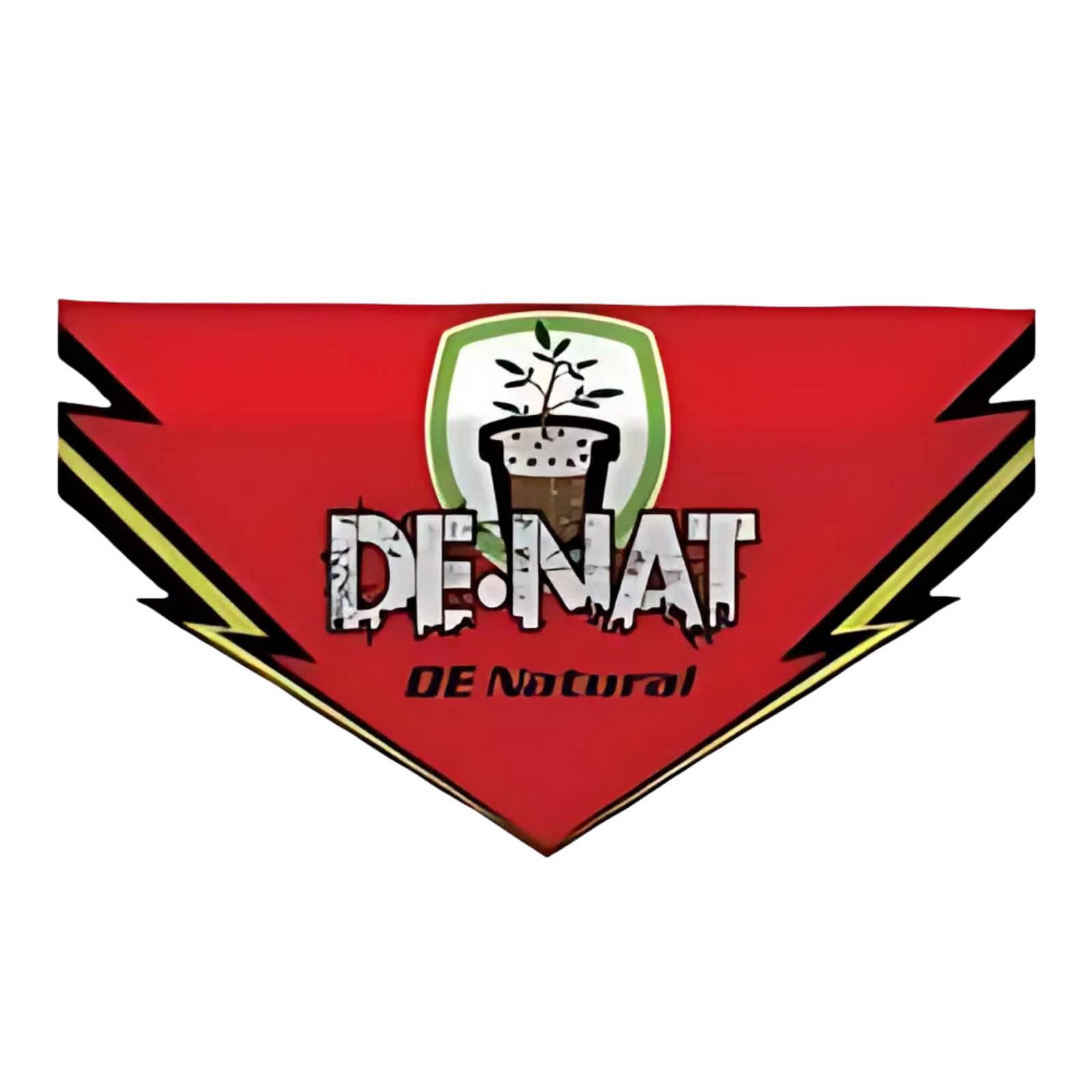DE-NAT Logo