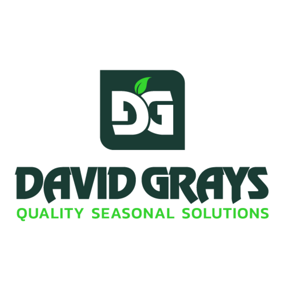 David Grays Logo