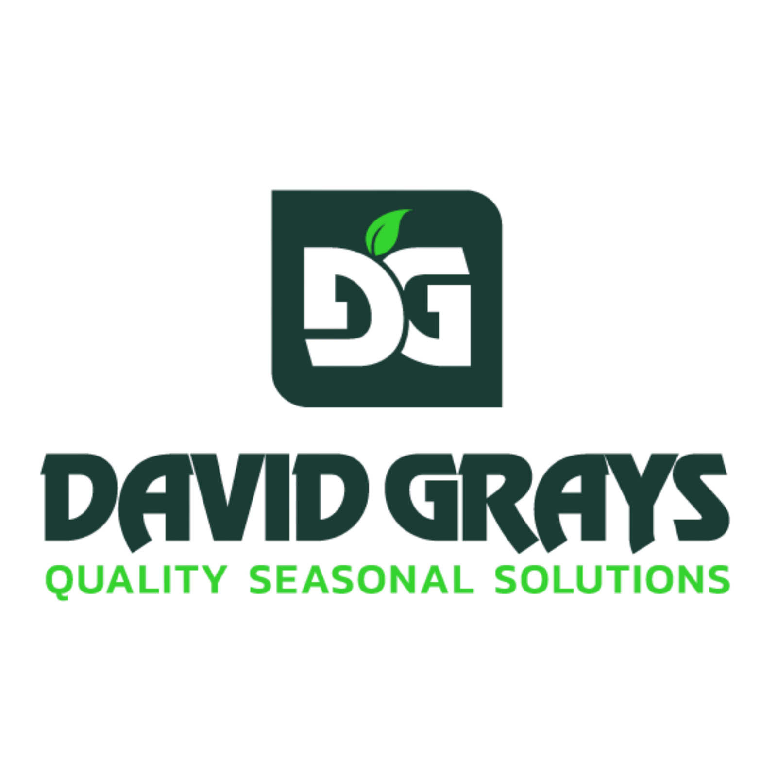 David Grays Logo