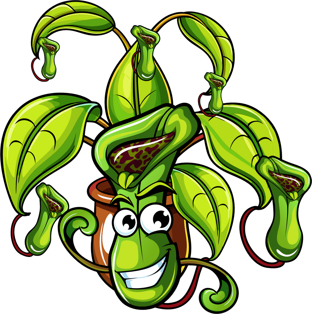 Carnivorous Plants