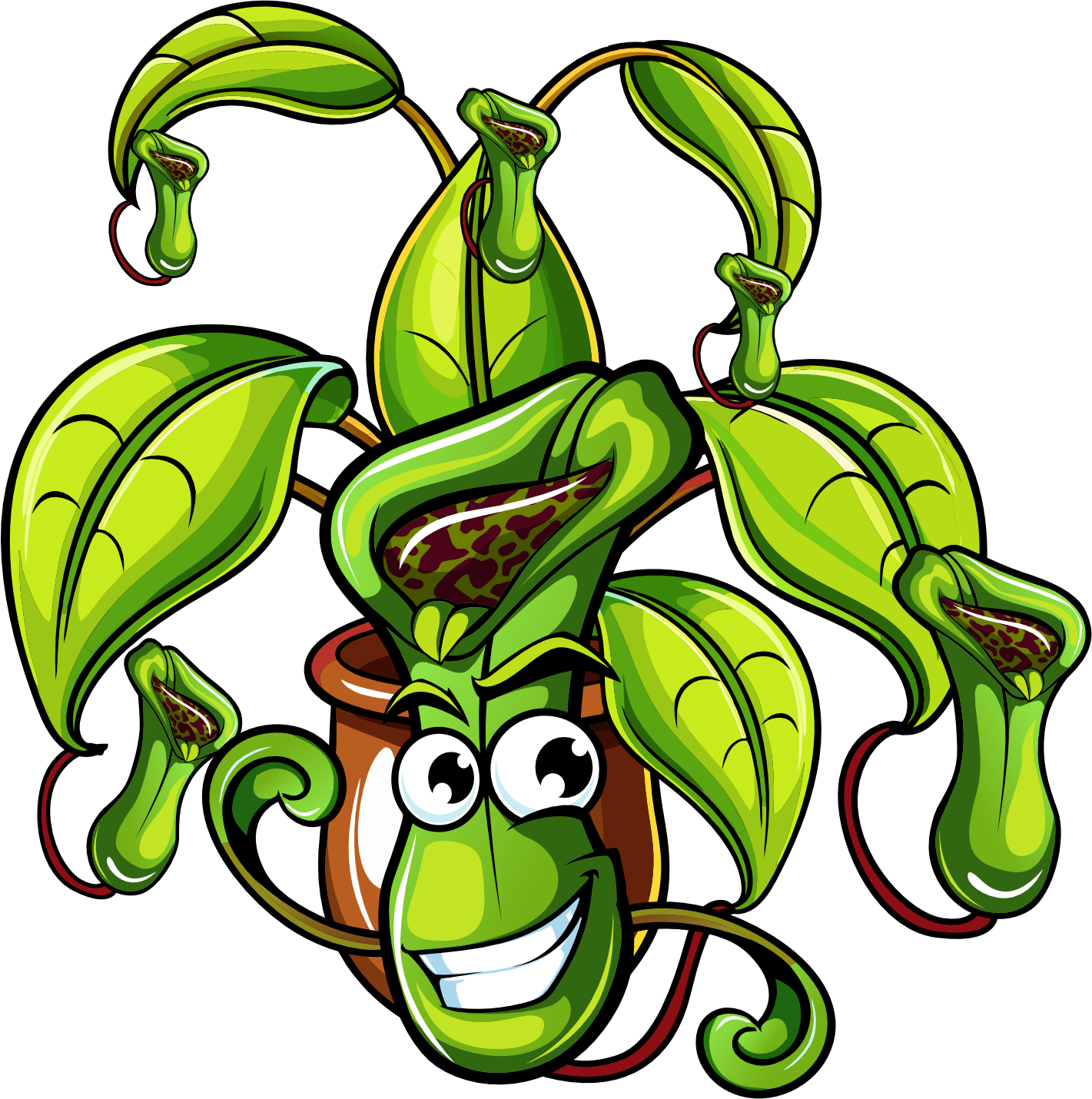 Carnivorous Plants