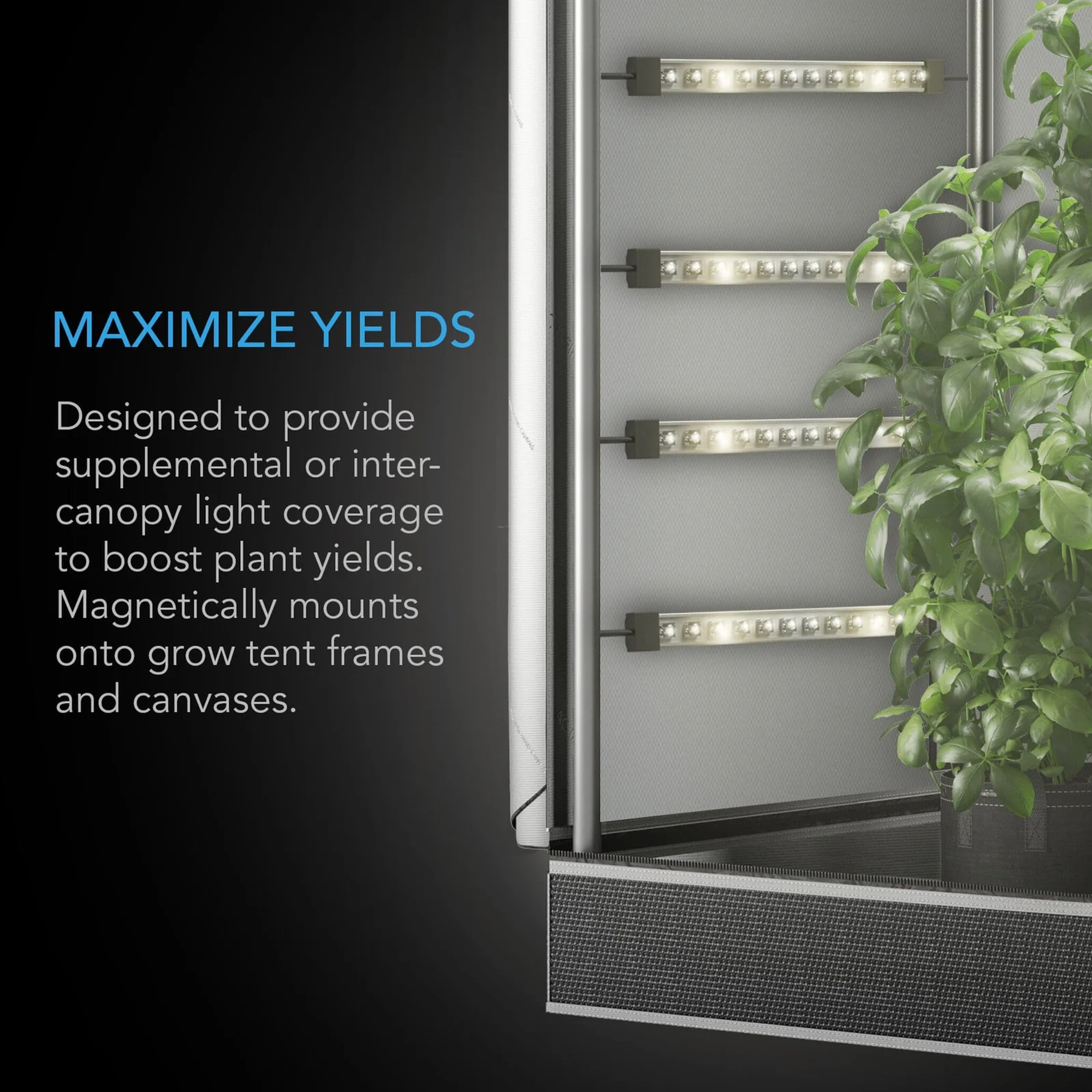 AC Infinity IONBEAM S11 — Maximize Yields