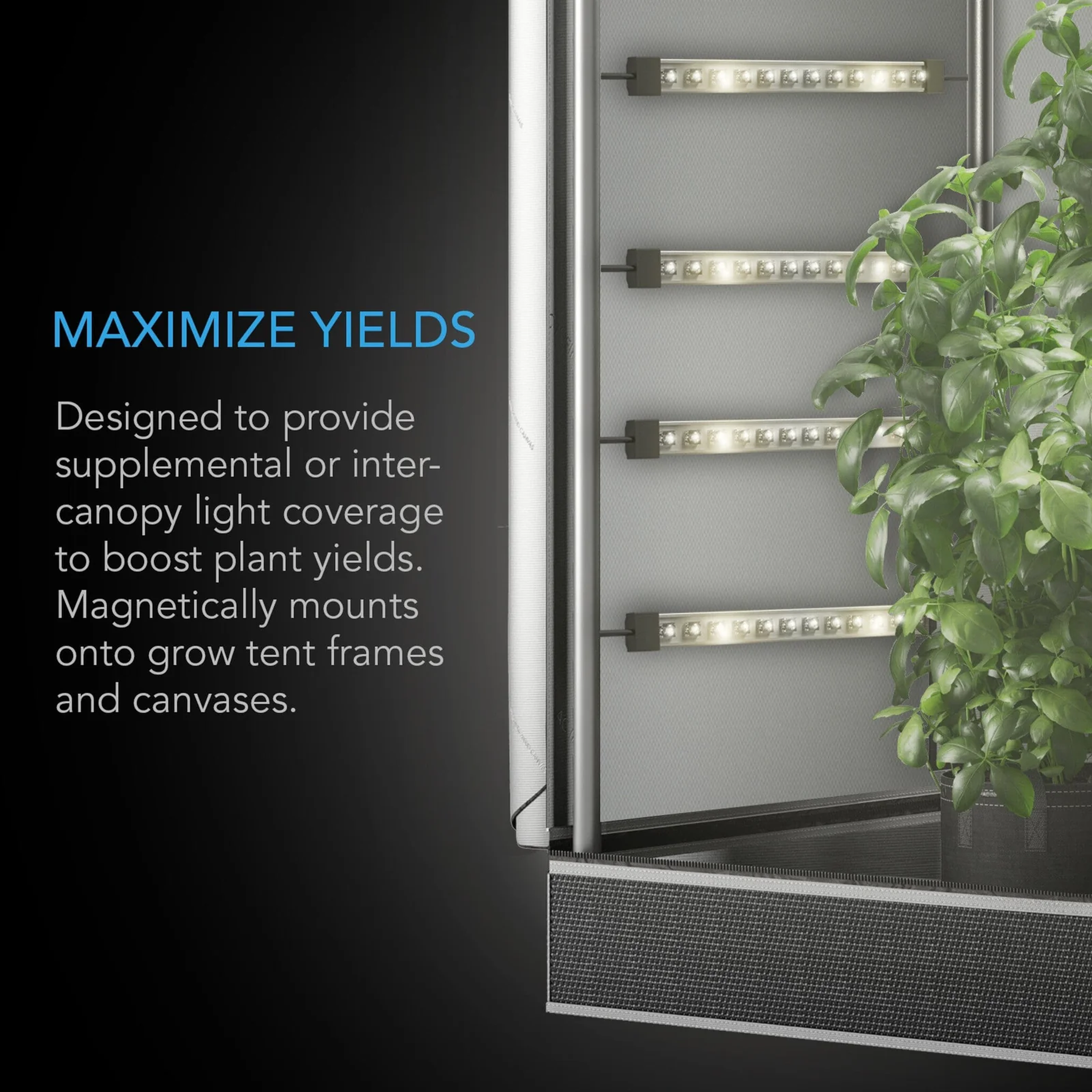 AC Infinity IONBEAM S11 — Maximize Yields