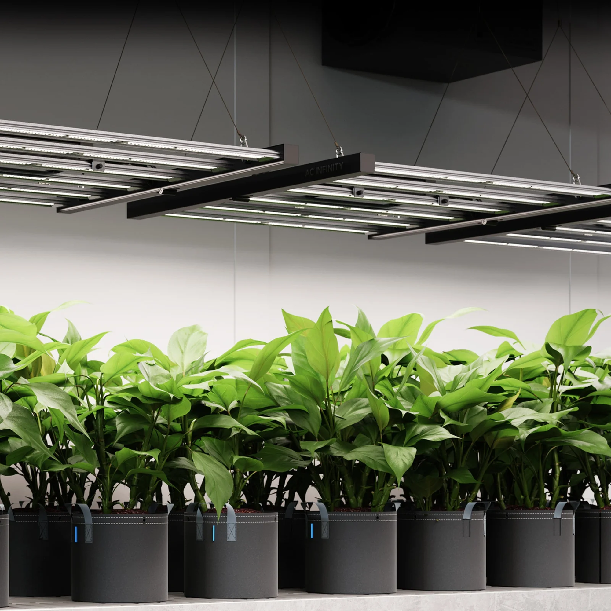 AC Infinity IONFRAME EVO10 — Lifestyle