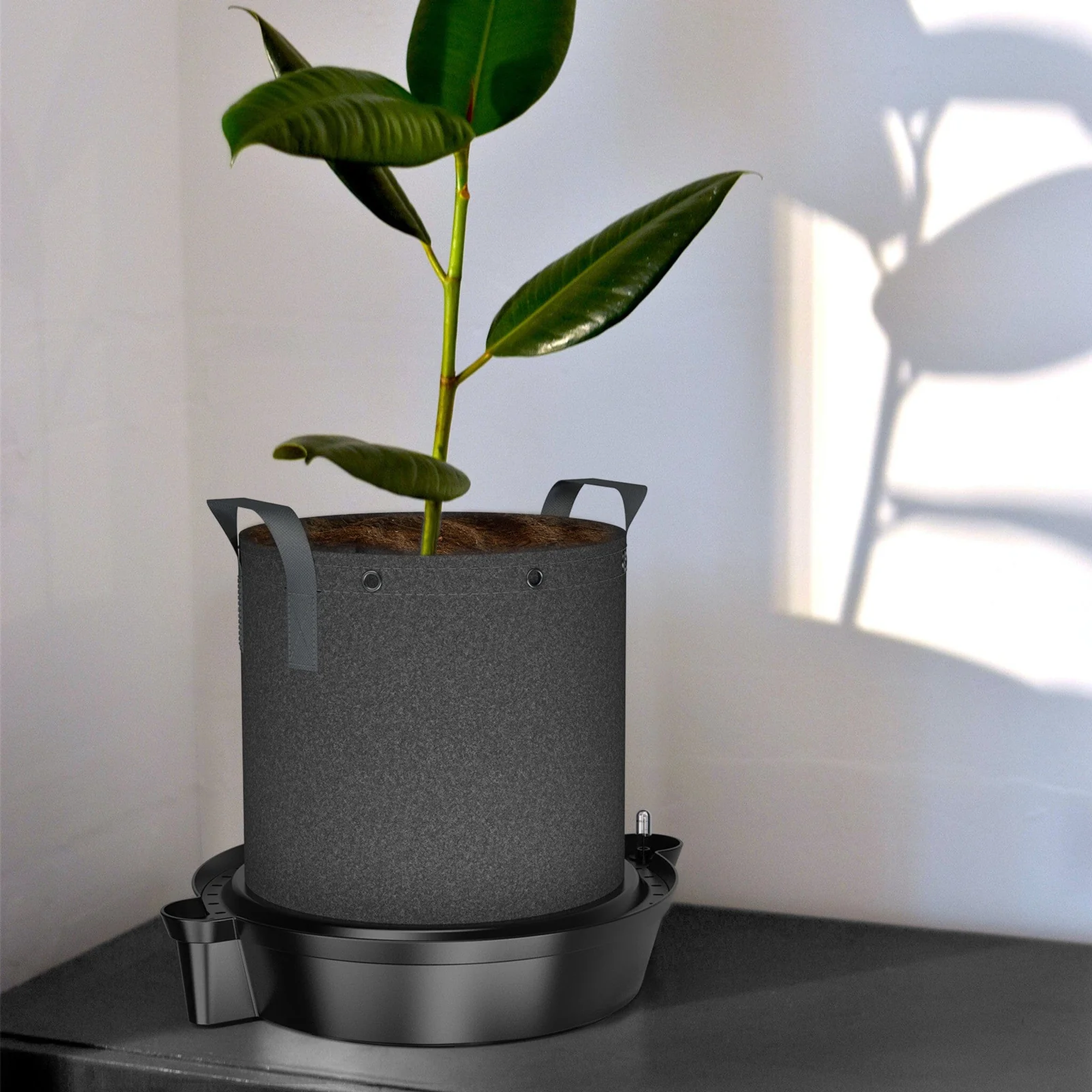 AC Infinity Self Watering Base — Lifestyle