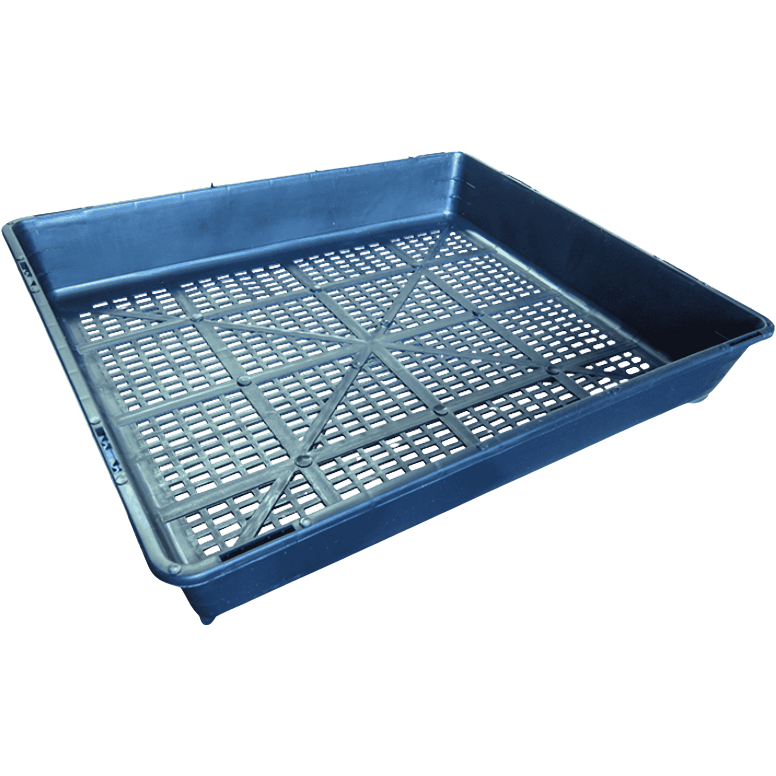Black Seedling Tray - Grated