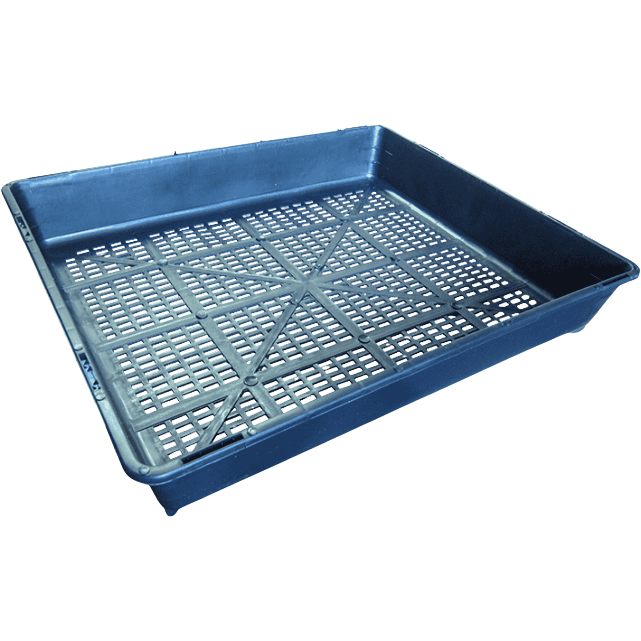 Black Seedling Tray - Grated