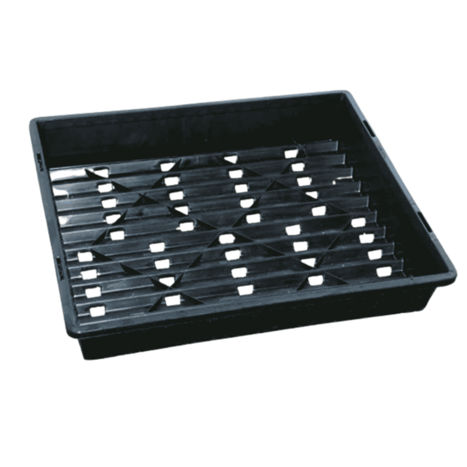 Black Seedling Tray - Lattice