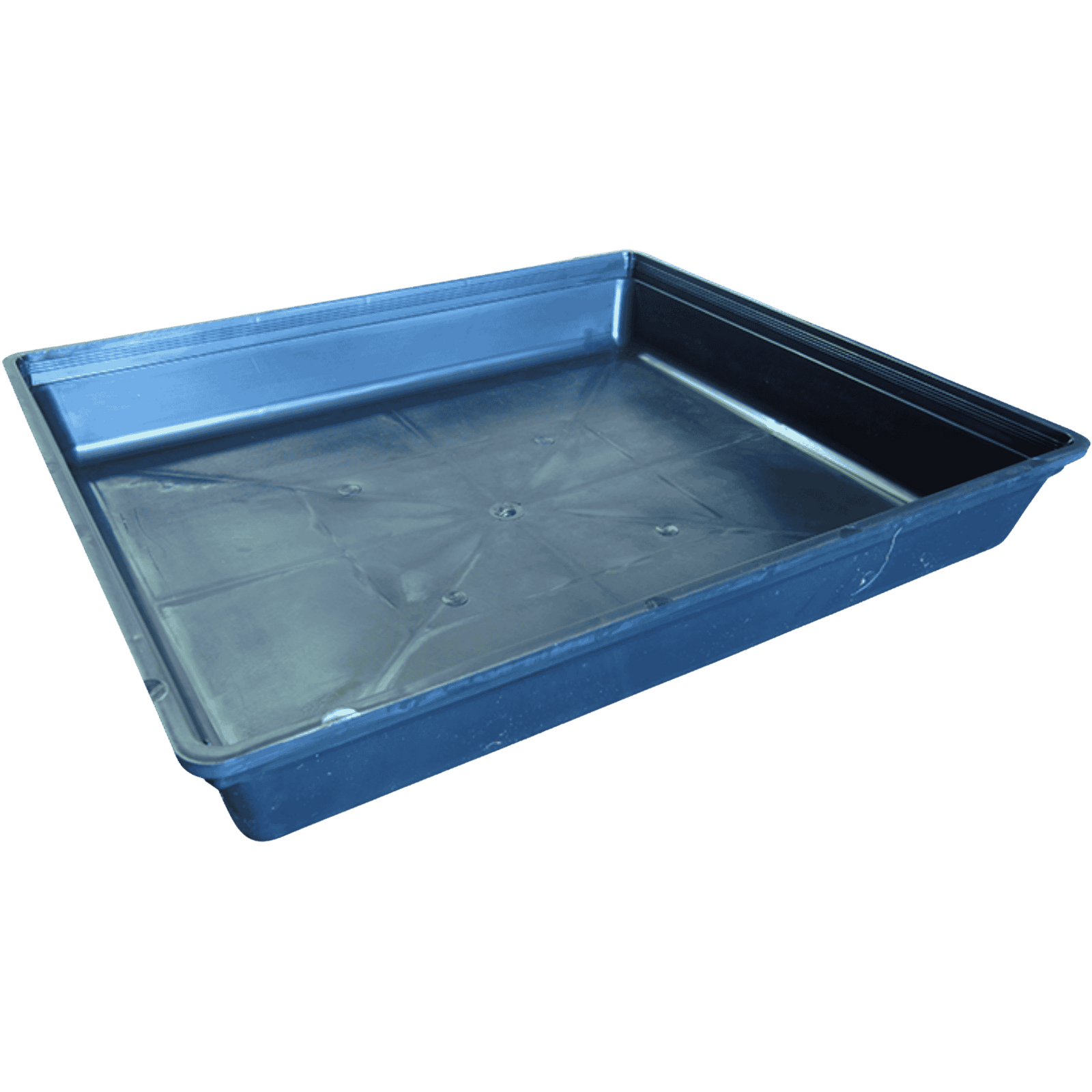 Black Seedling Tray - Solid