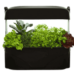 Black Vegepod Kitchen Garden