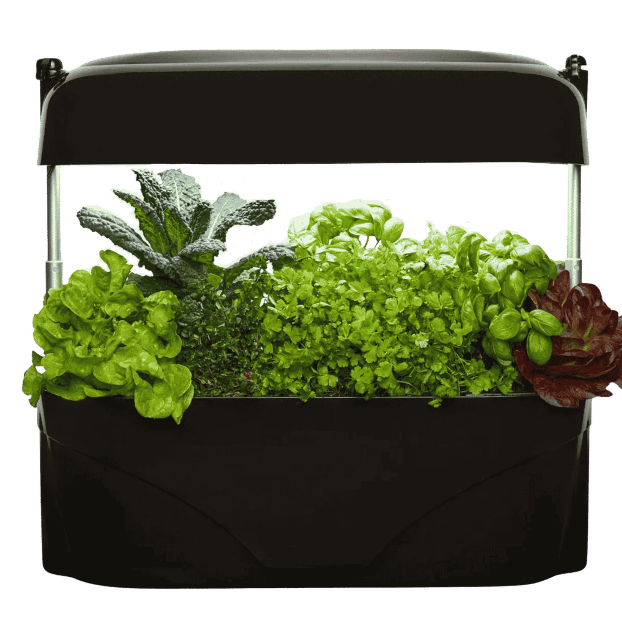 Black Vegepod Kitchen Garden
