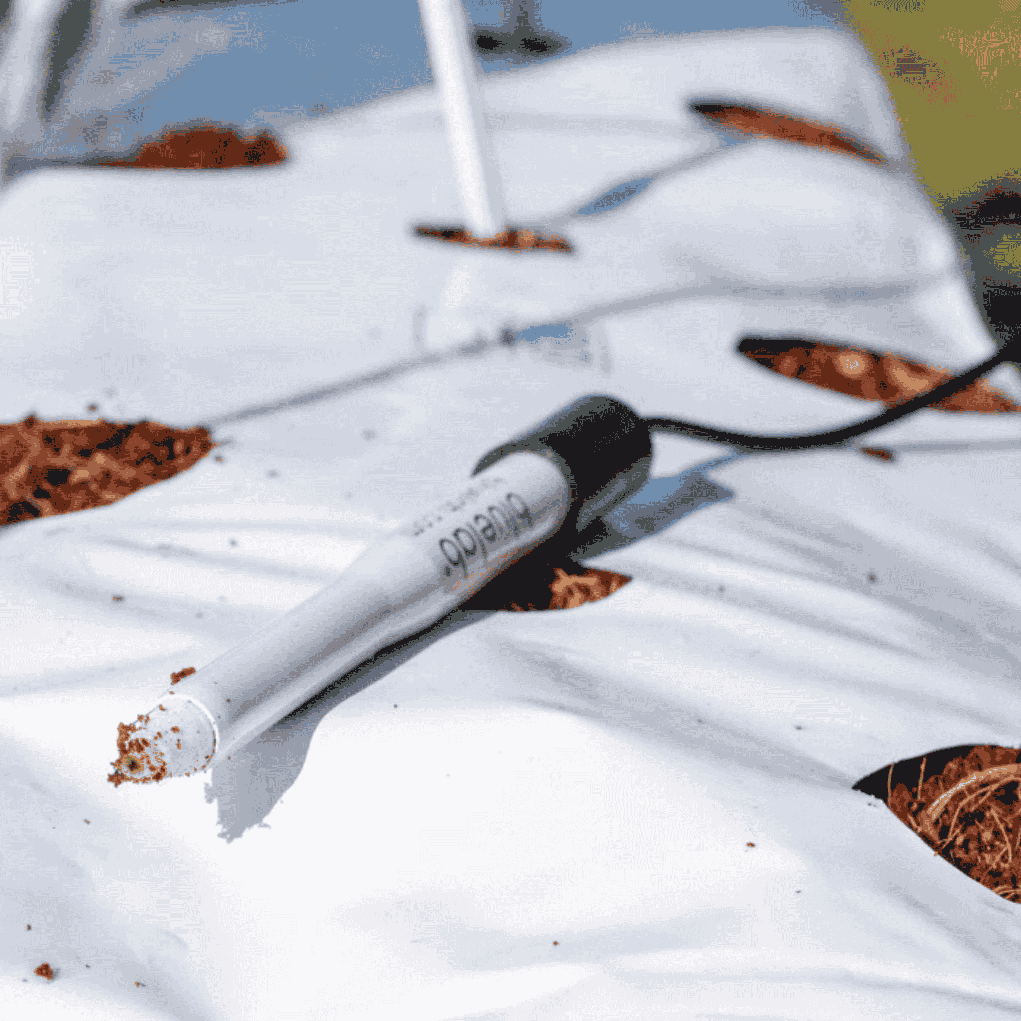 Bluelab Leap pH Probe