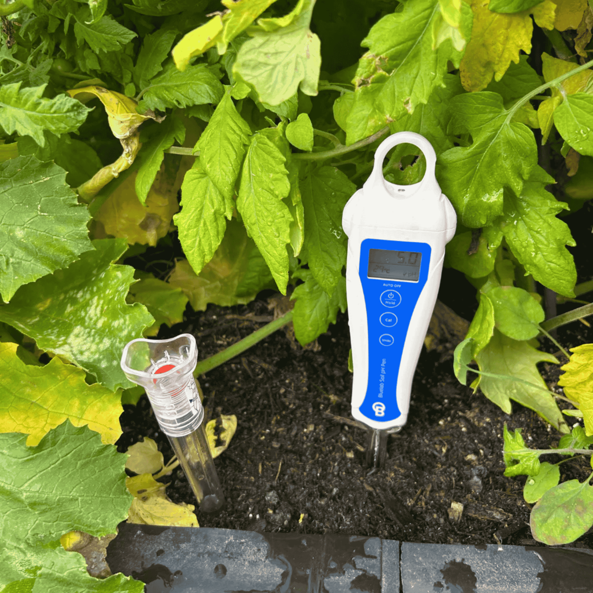 Bluelab Soil pH Pen display — live soil pH readout on pocket meter