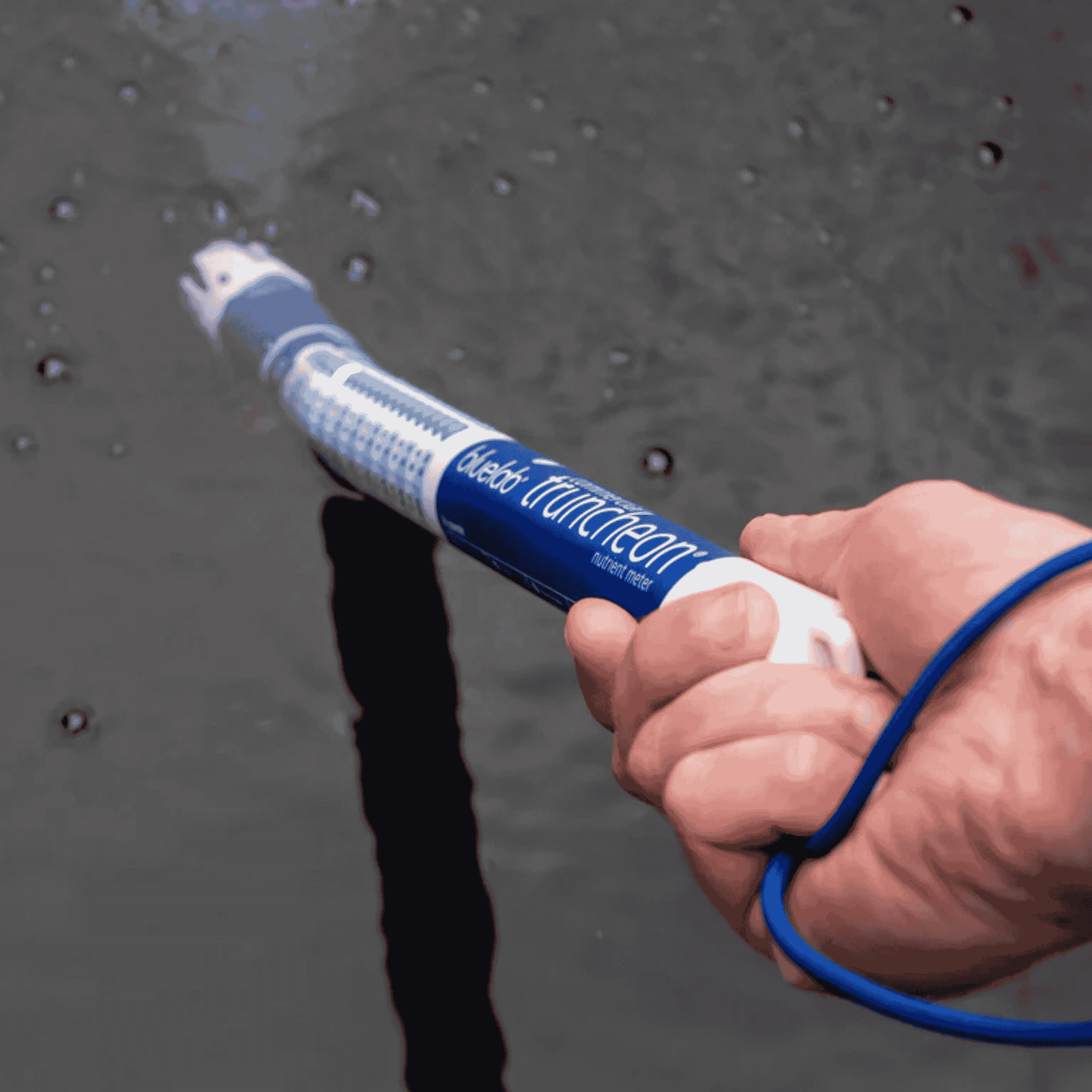 Bluelab Truncheon