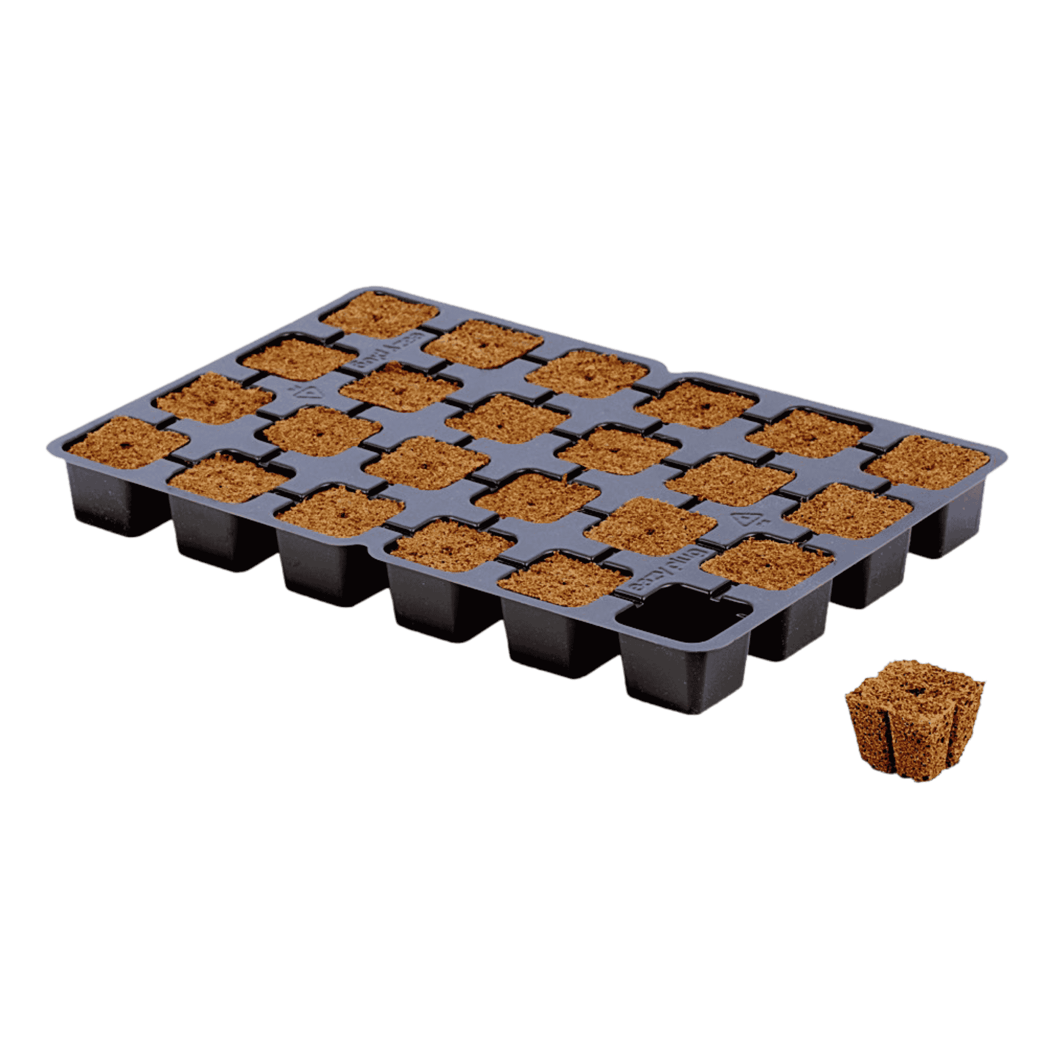 Eazy Plug Tray of 24 - Unboxed