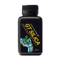 GT Silica