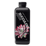 GT Succulent Focus - 1L
