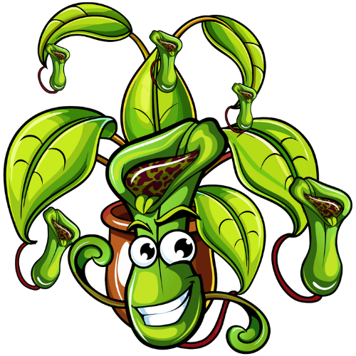 Hydro Oasis Nepenthes Mascot