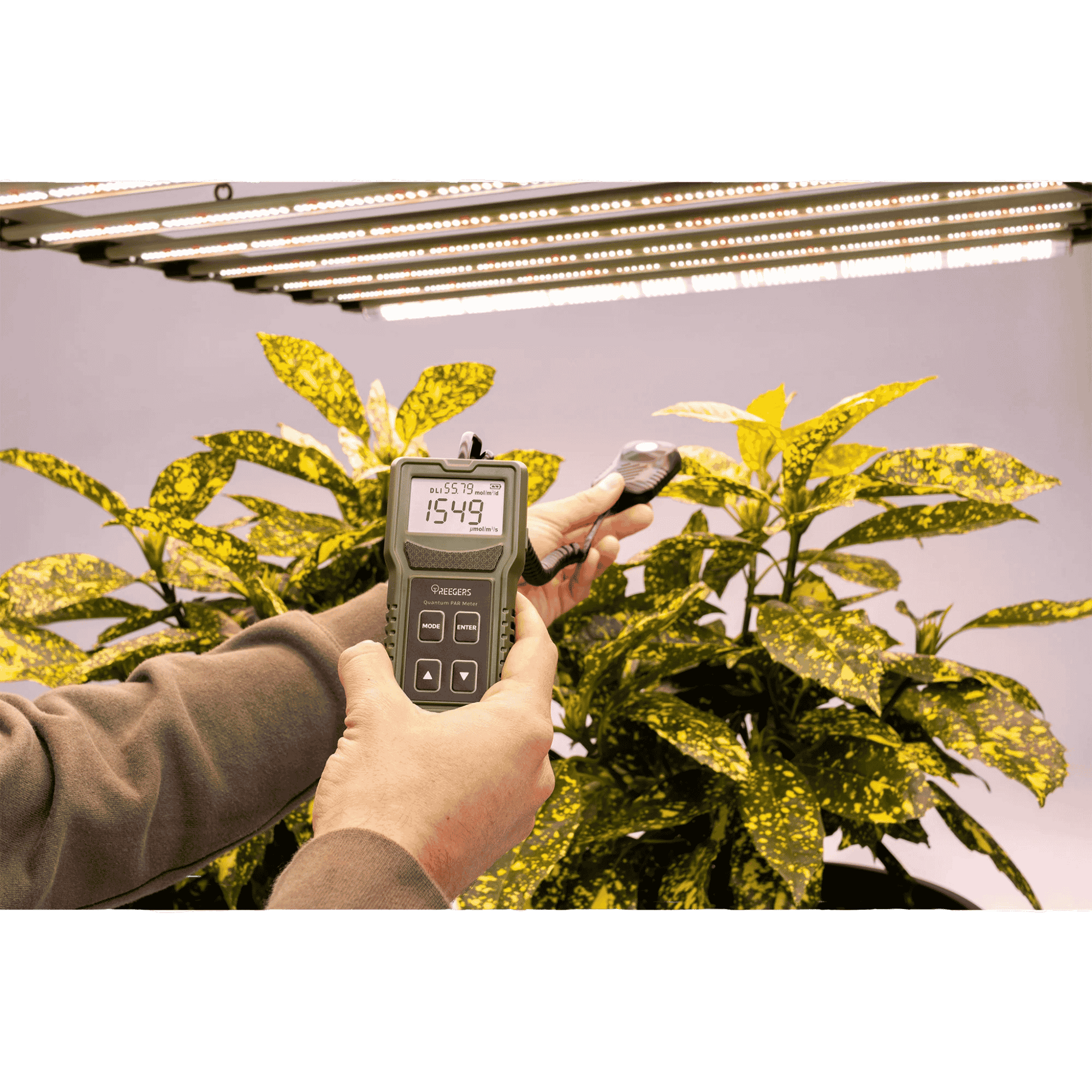 Treegers Quantum PAR Meter