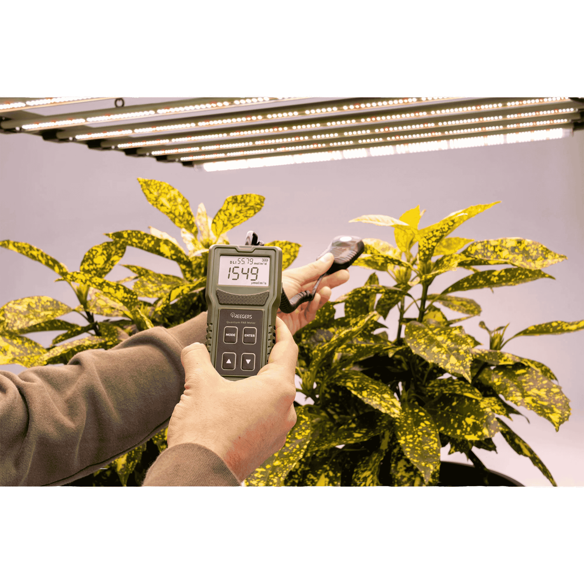 Treegers Quantum PAR Meter