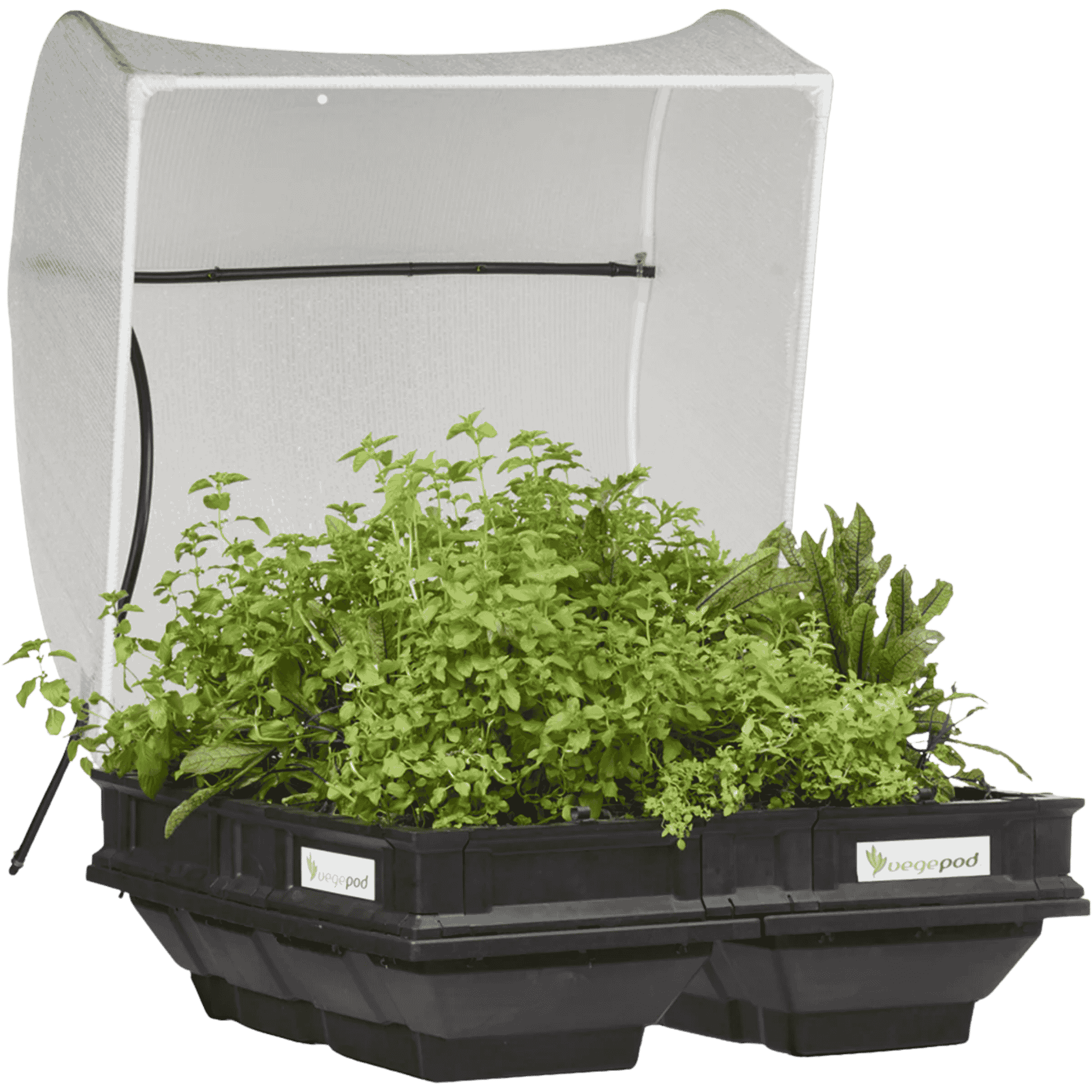 Vegepod Raised Garden Bed - Medium Open